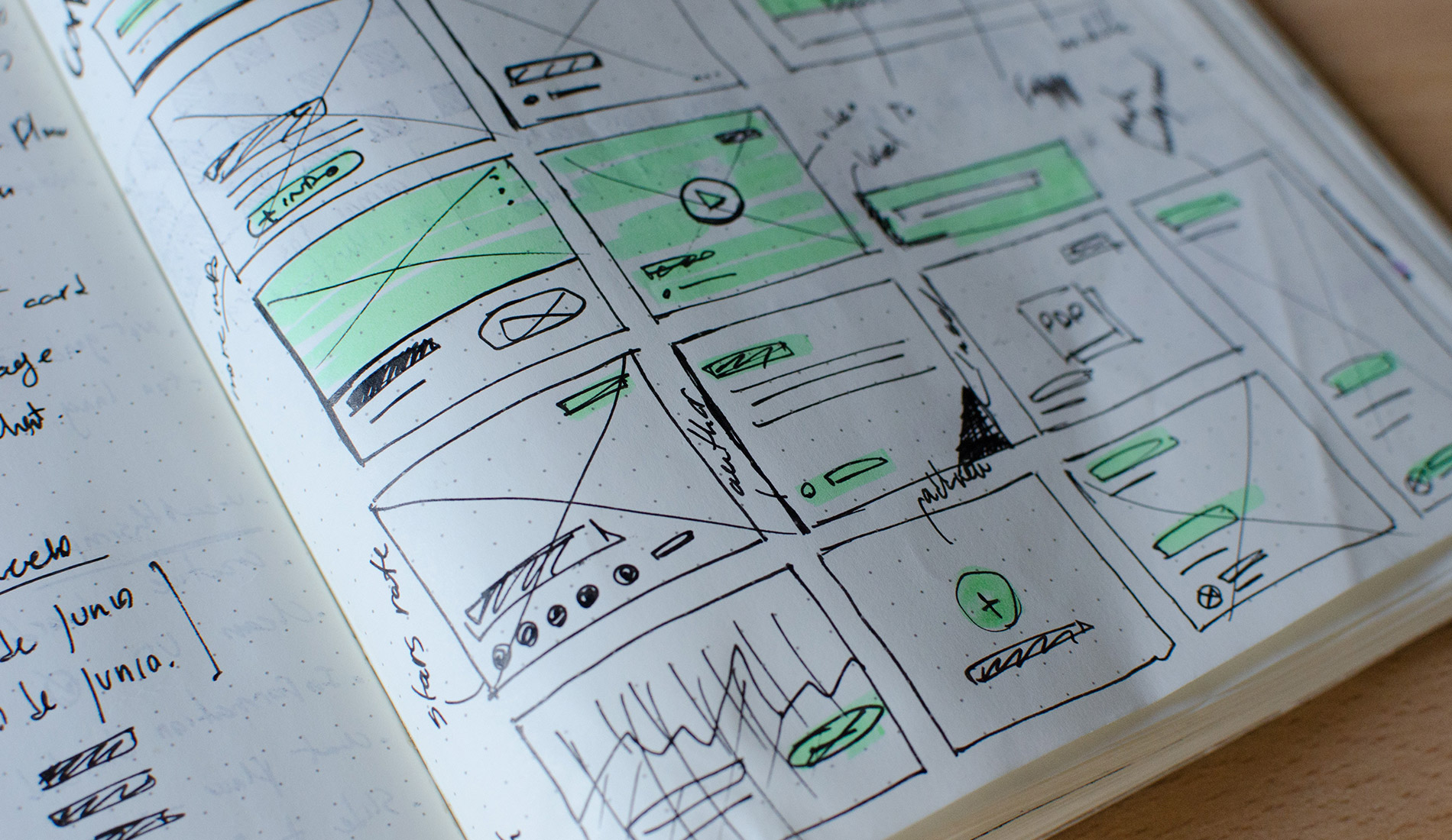 Web Development